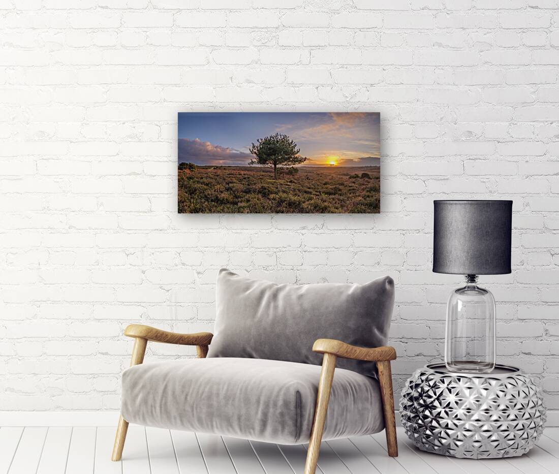 Single tree in meadow Reproduction