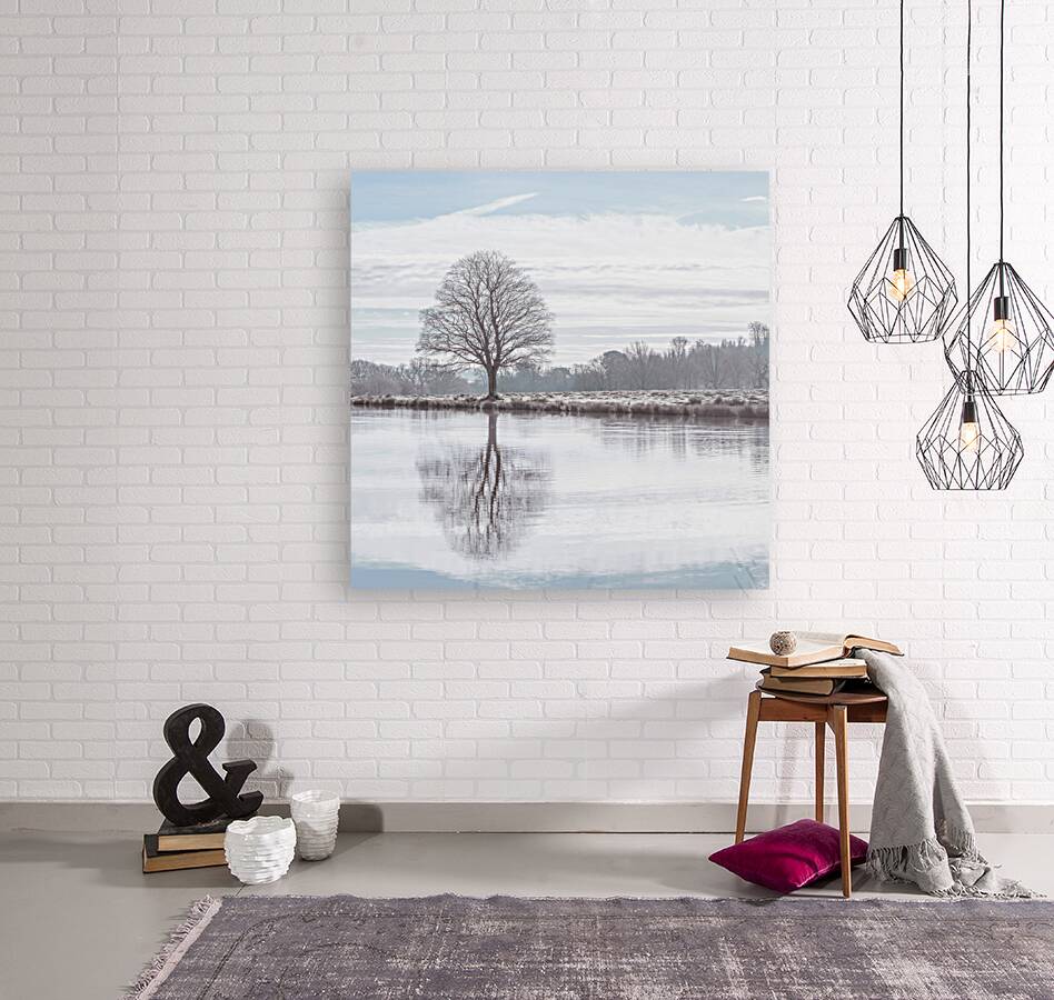 Tree by pond Reproduction