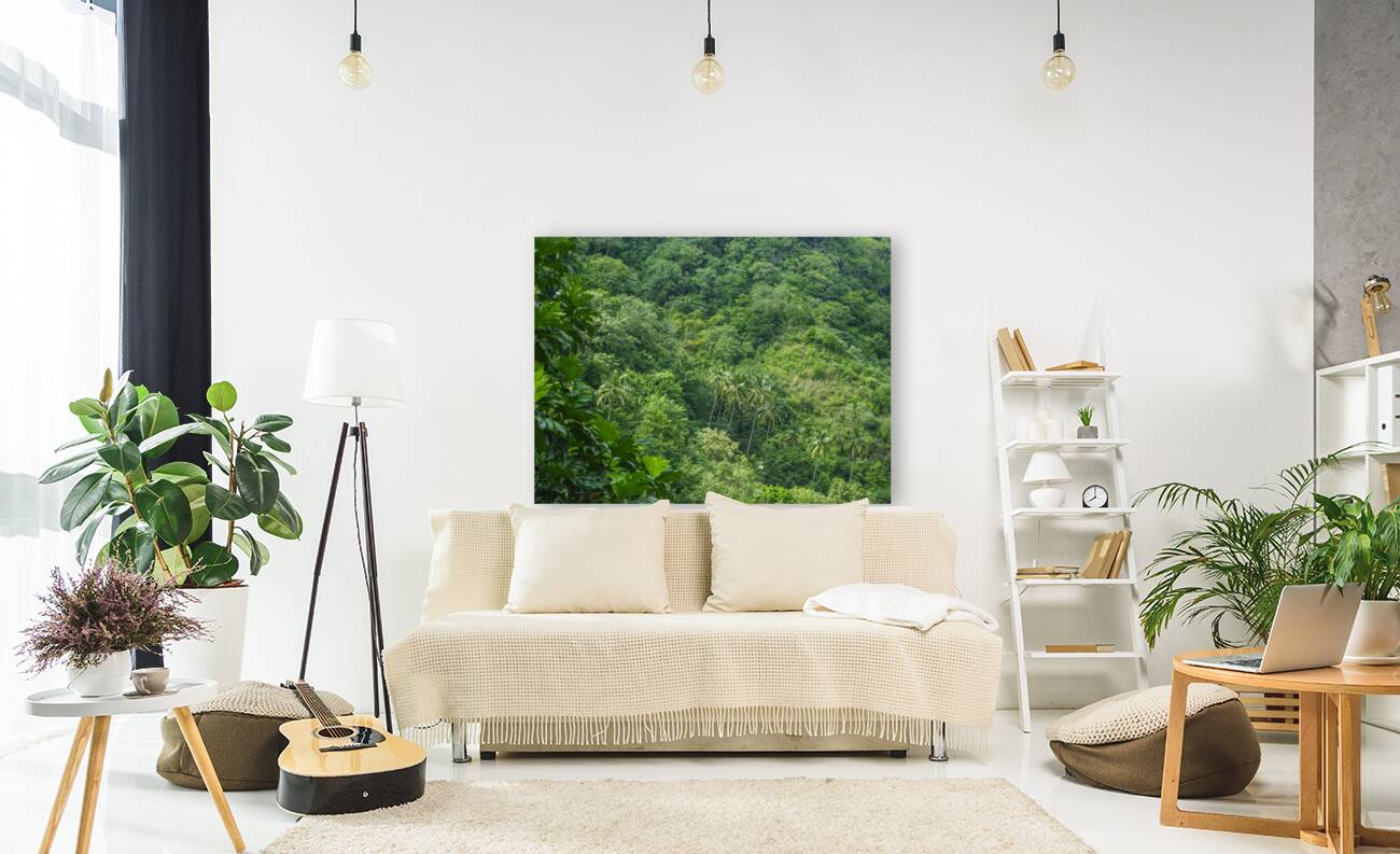 Evergreen Forest Reproduction