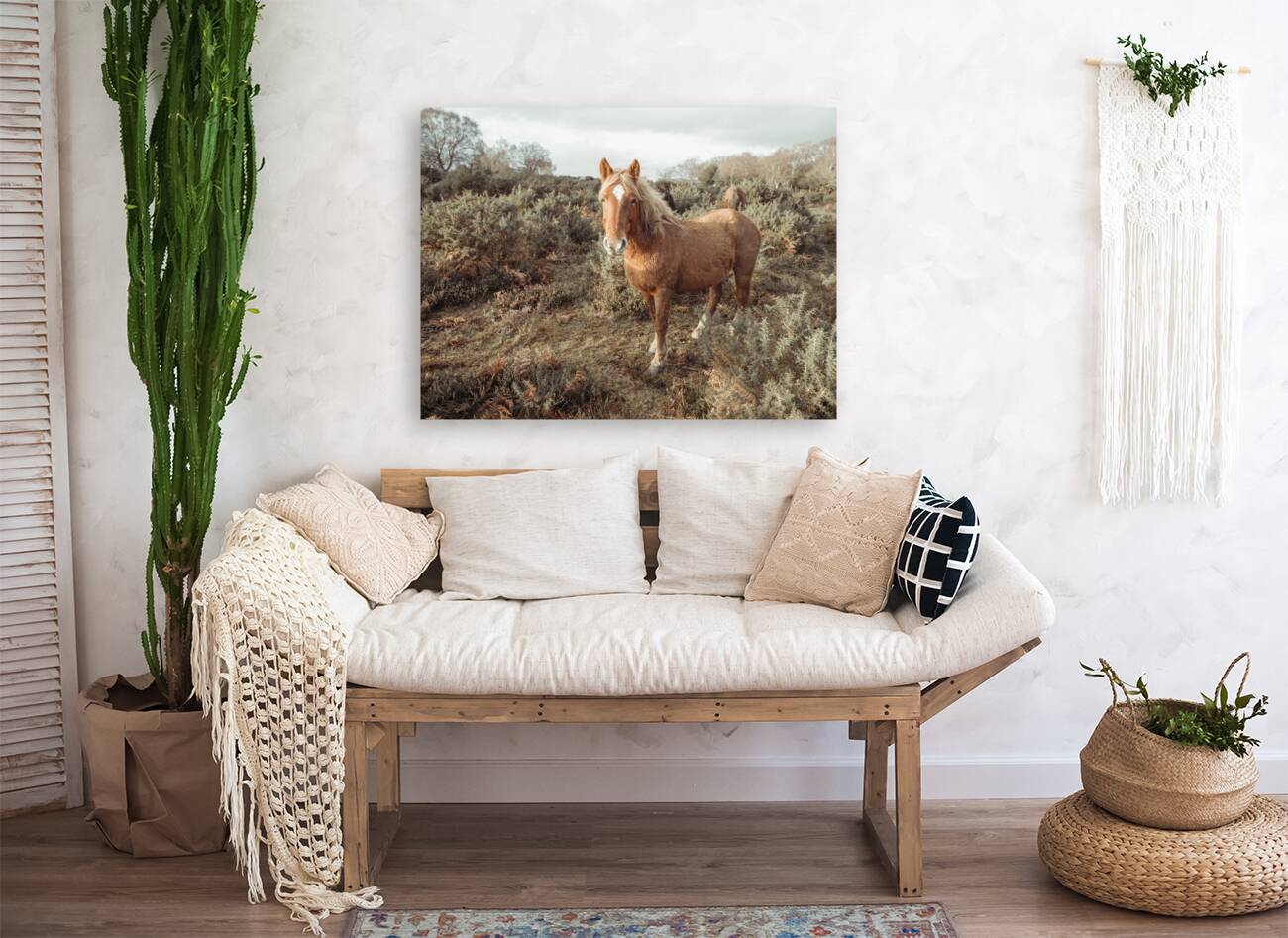 Graceful Wanderer Reproduction