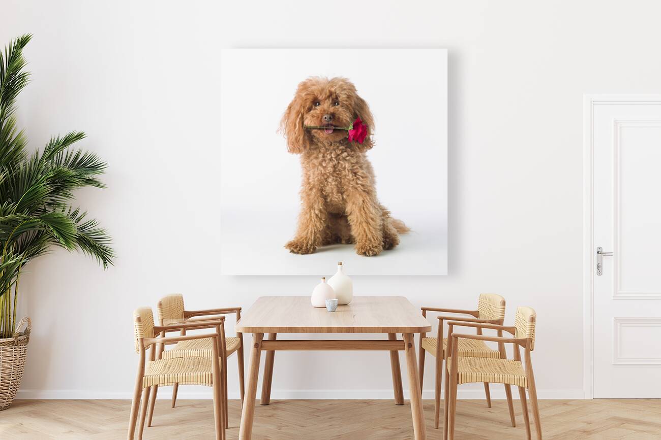 This is for you Reproduction