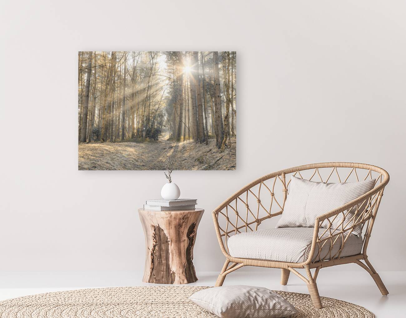 Sun Rays Painting the Forest Reproduction