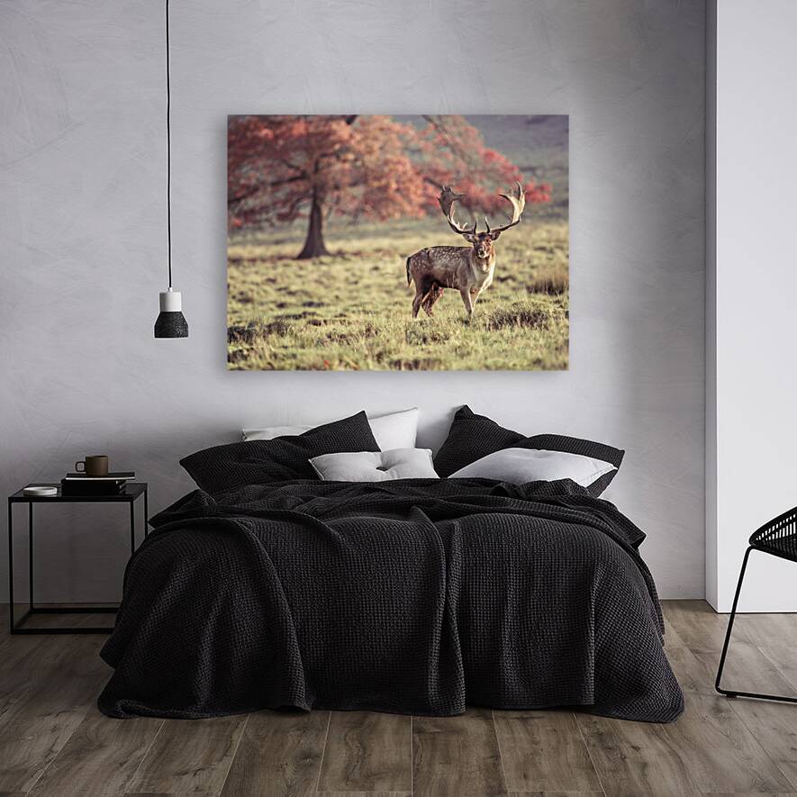 Stag Roaming Free Reproduction