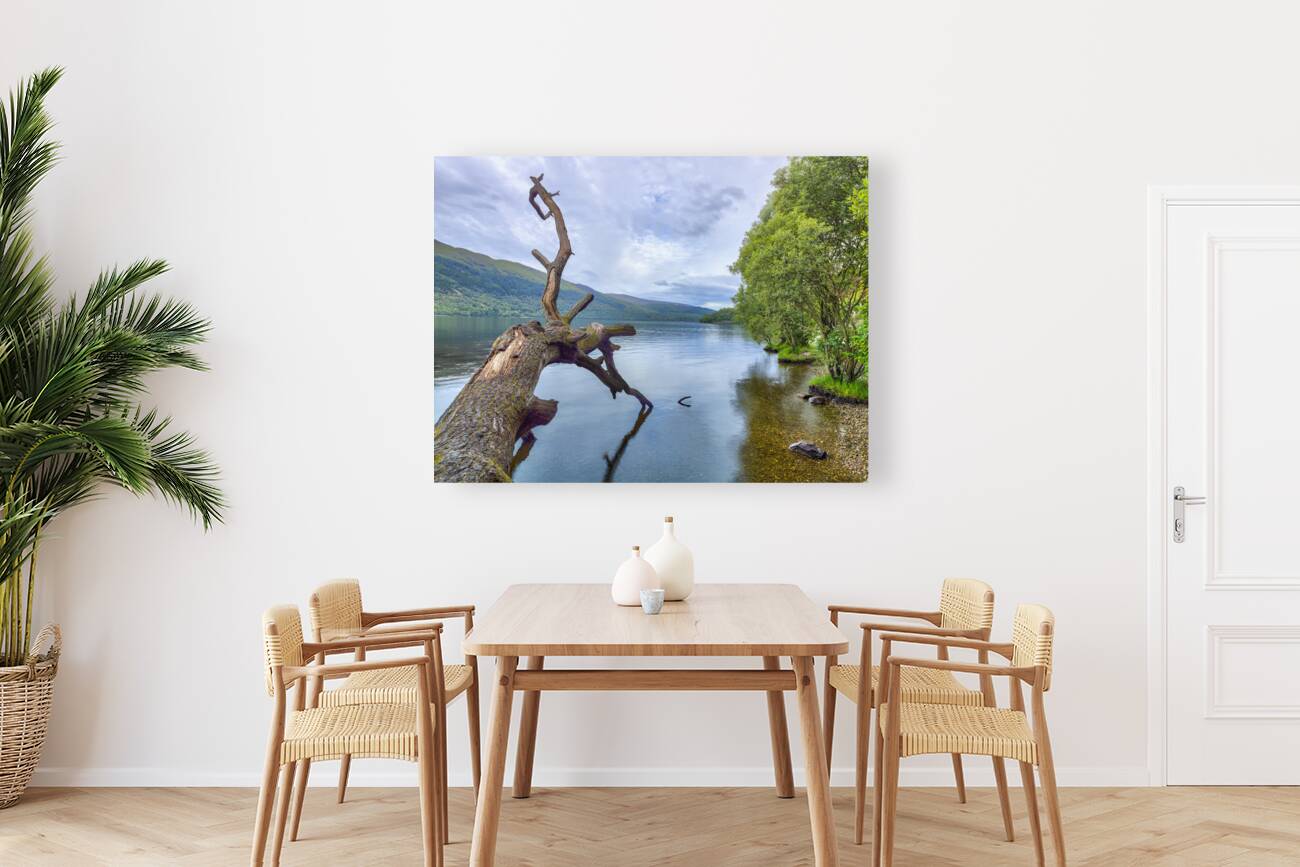 Loch Serenity Reproduction