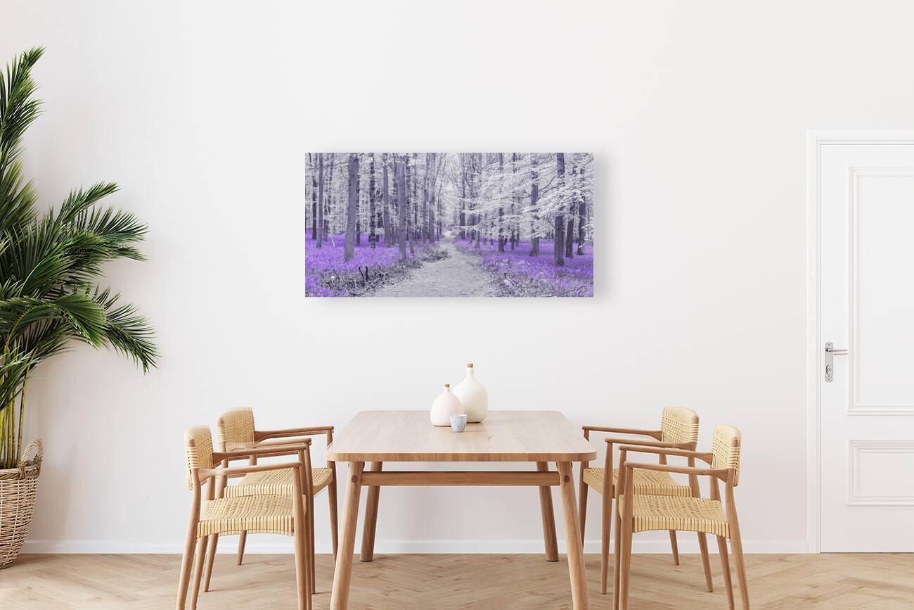 Path through Bluebell Forest Reproduction