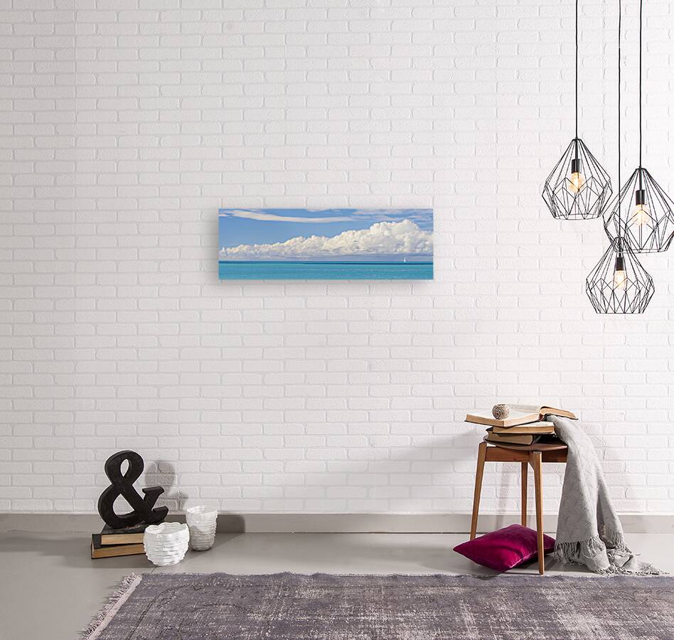 Seascape Elegance Reproduction