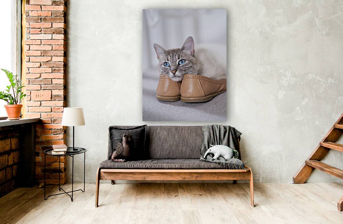 Purrfect Pair Reproduction