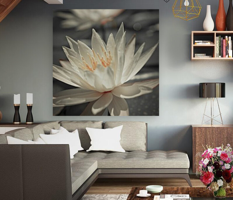 Water Lily Reproduction