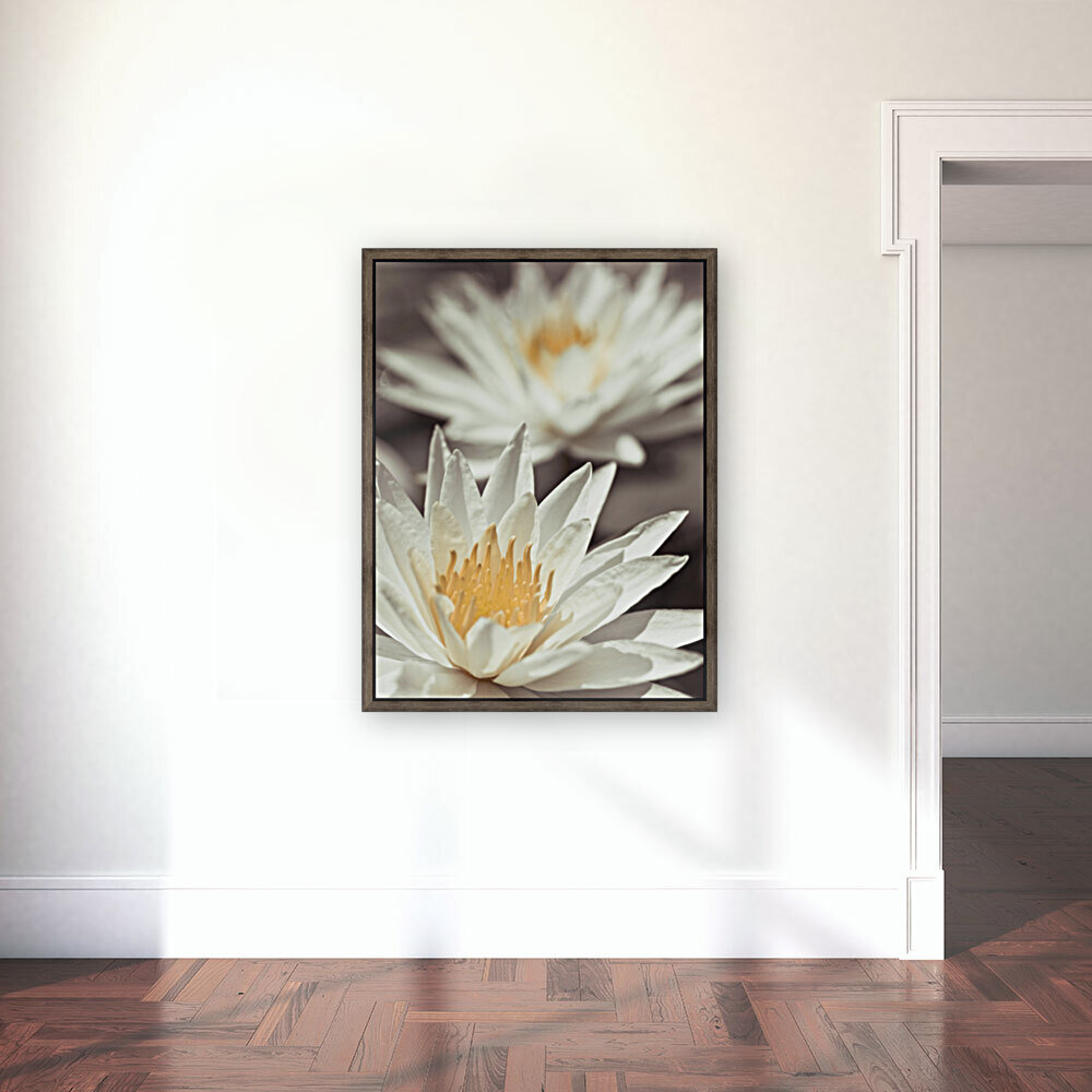 Water Lilies Reproduction