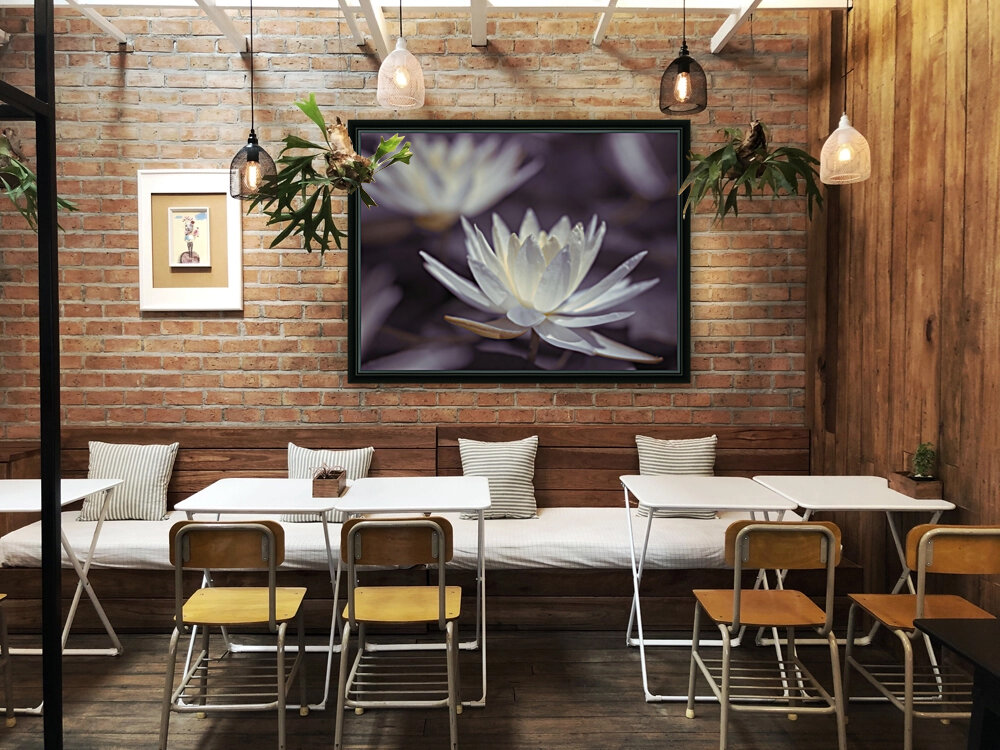 Water Lilies Reproduction