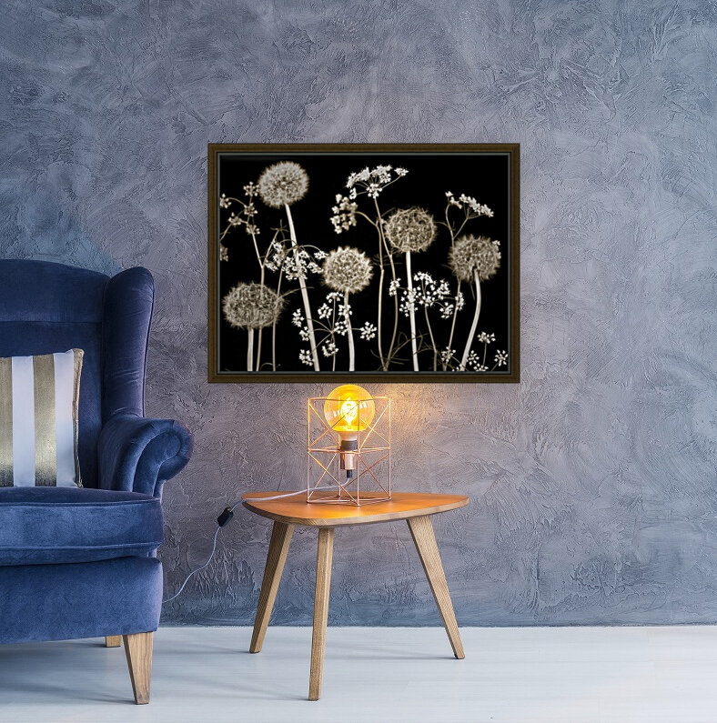 Meadow flowers Reproduction