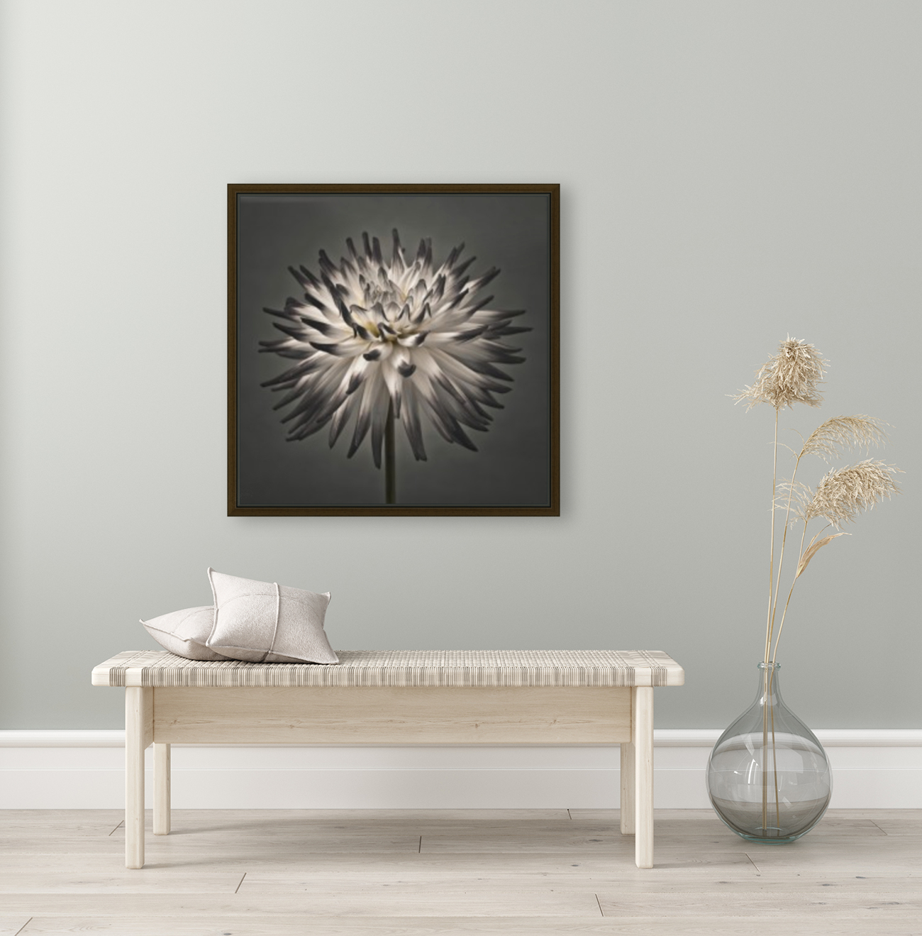 Dahlia Flower Reproduction