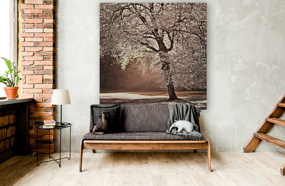 Autumn tree in sunlight Reproduction