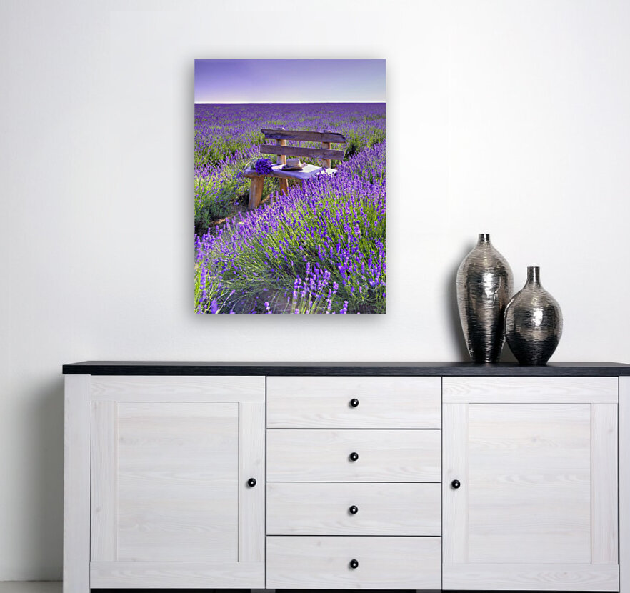 Bench in Lavender field Reproduction