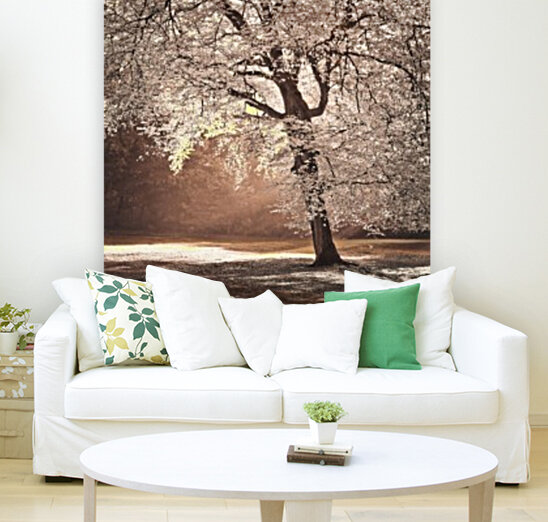 Autumn tree in sunlight Reproduction