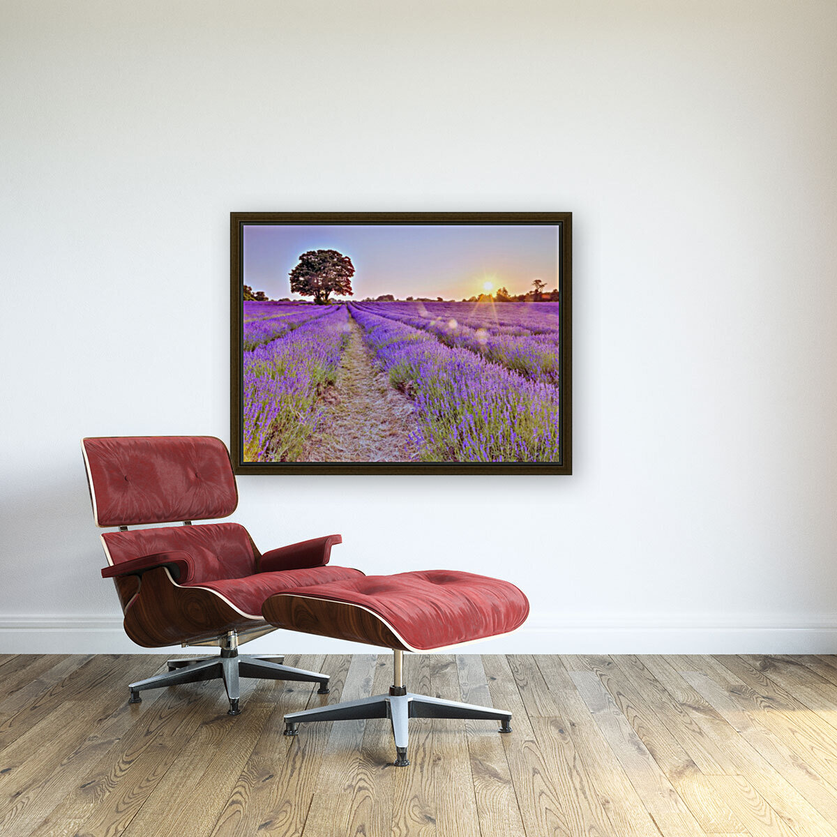 Lavender field at sunset Reproduction