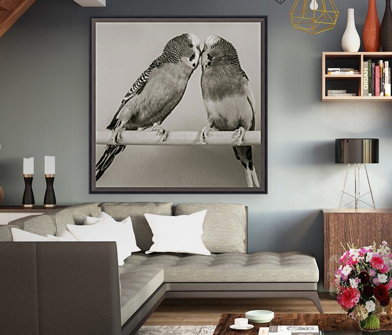 Birds Reproduction