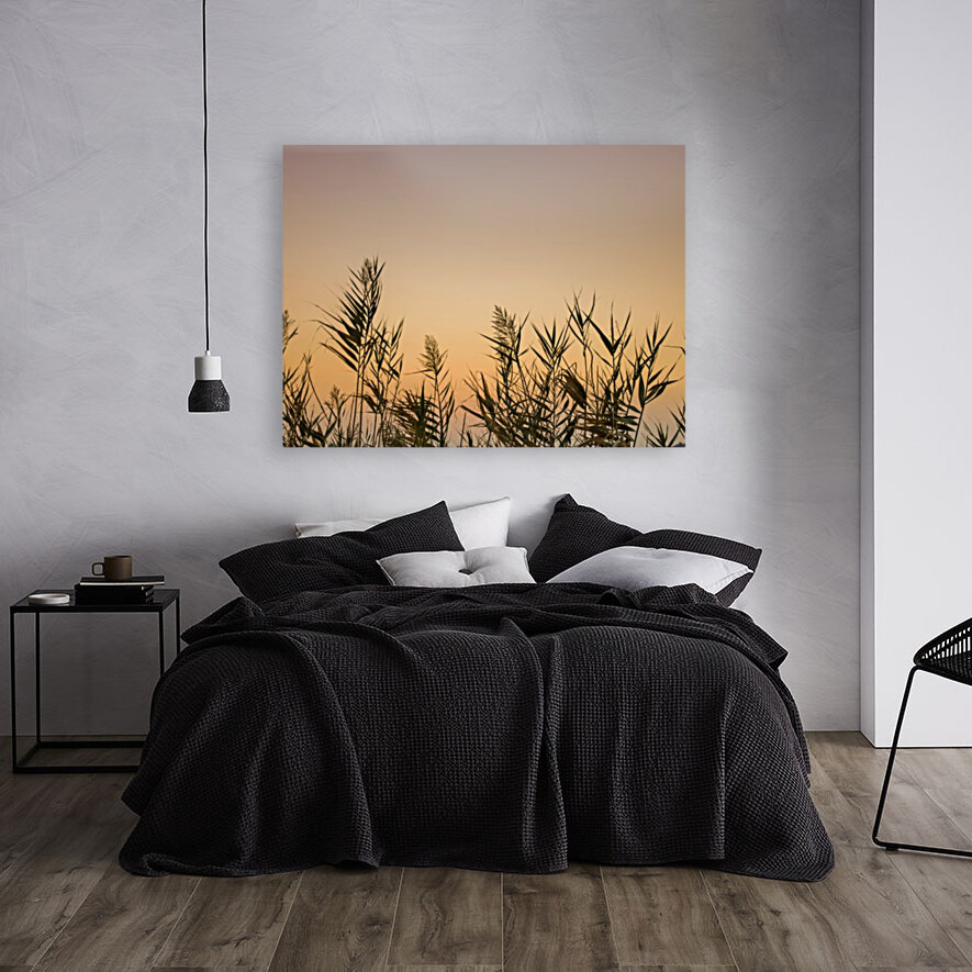 Reeds Reproduction