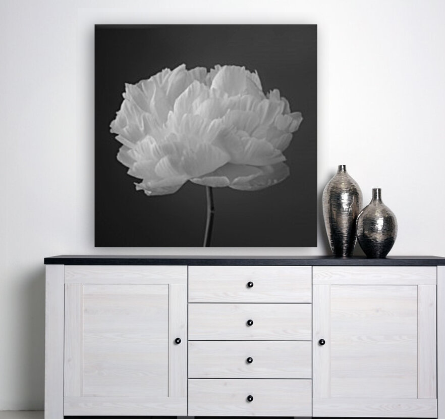 Peony flower Reproduction