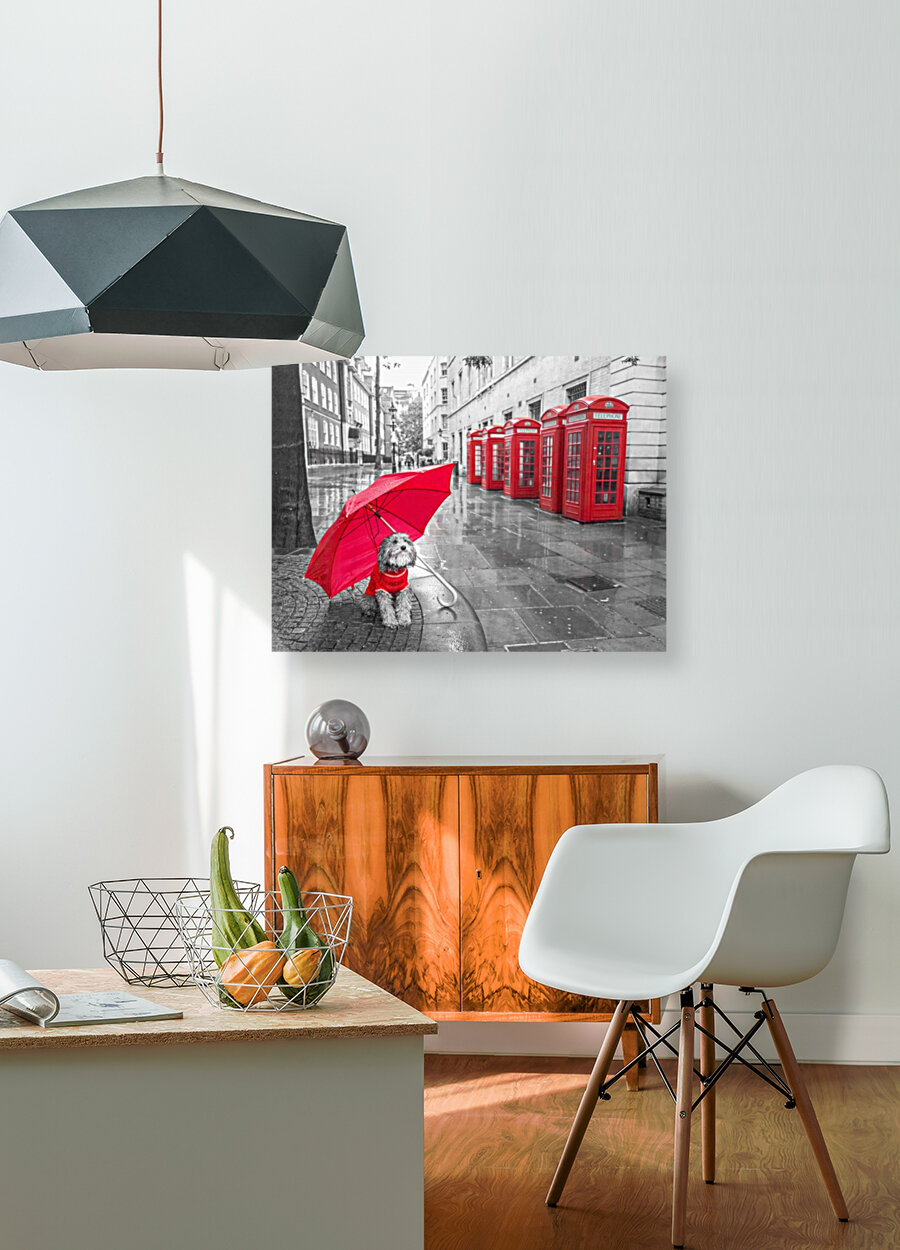 Dog with umbrella on London city street Reproduction