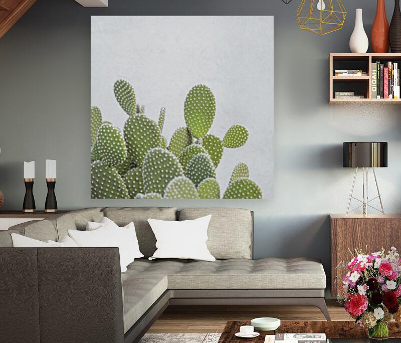 Cactus plant Reproduction
