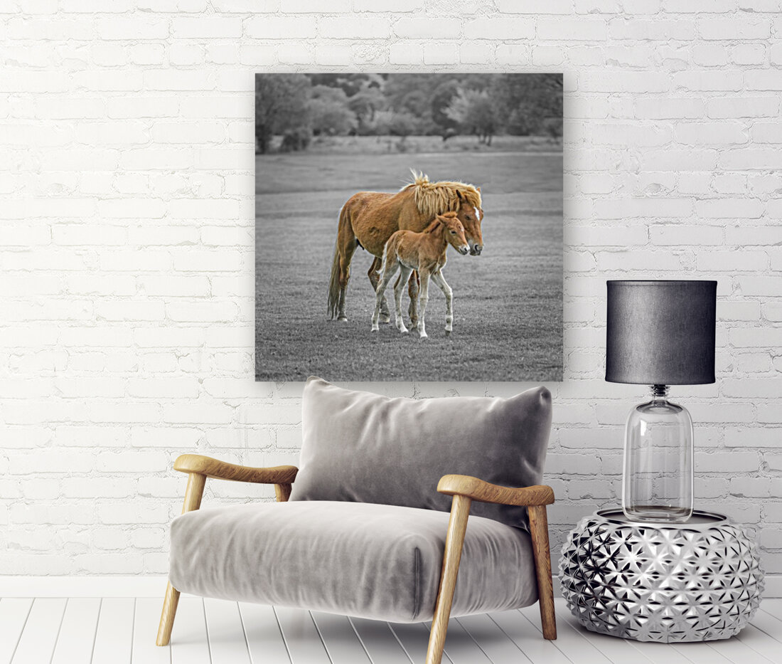 Horse with Pony Reproduction