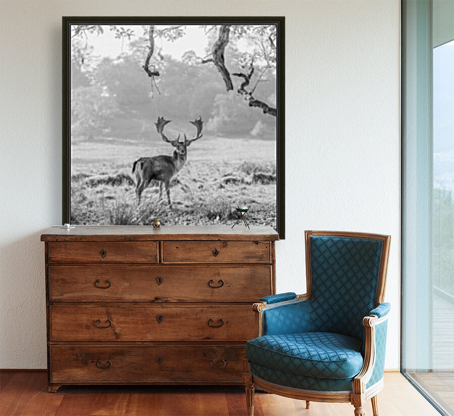 Stag in a field Reproduction