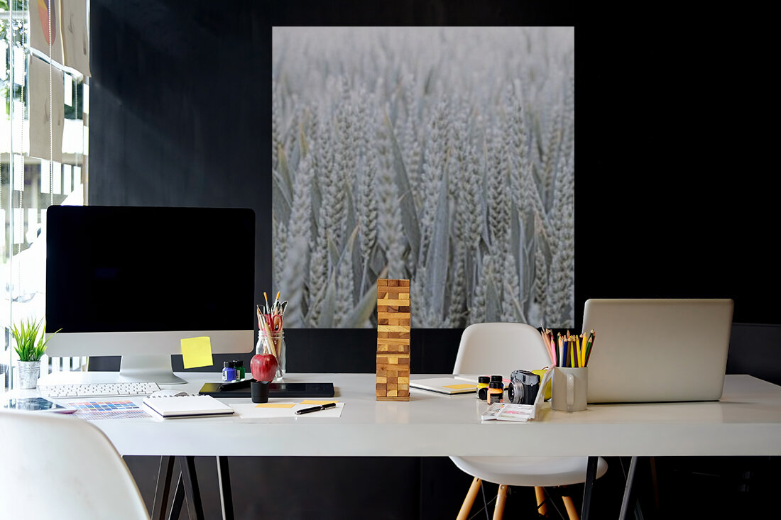 Wheat field Reproduction