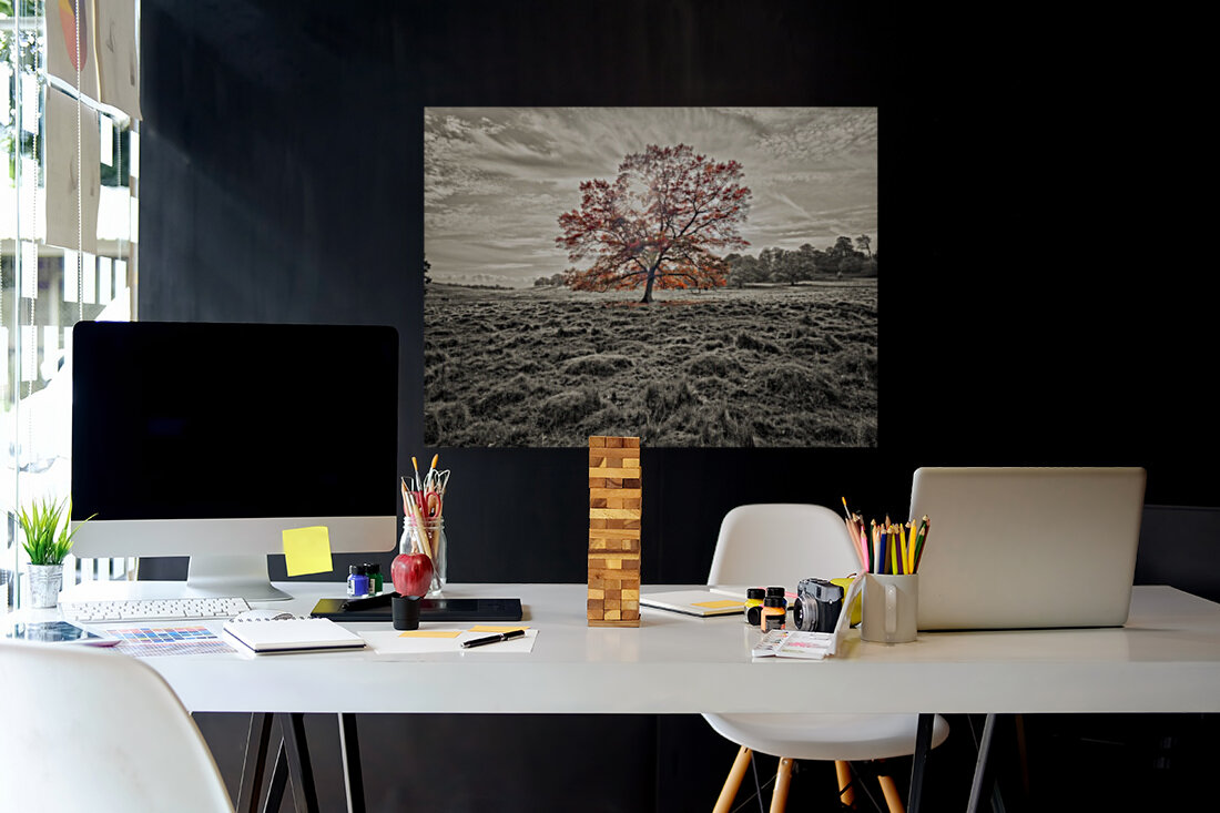 Single tree at autumn Reproduction
