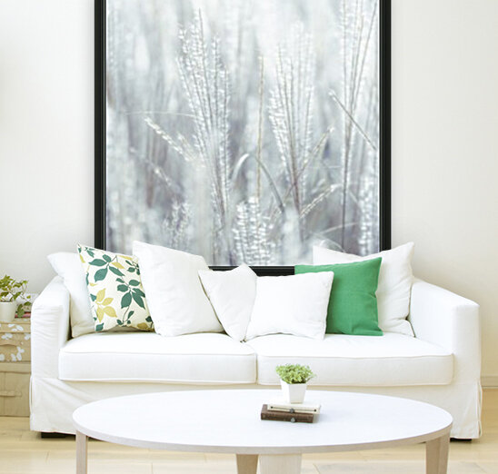 Japanese Silver Grass Reproduction