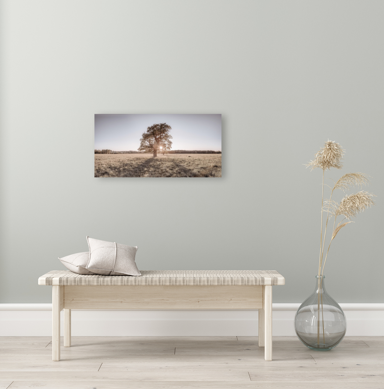 Sun shining through single tree Reproduction