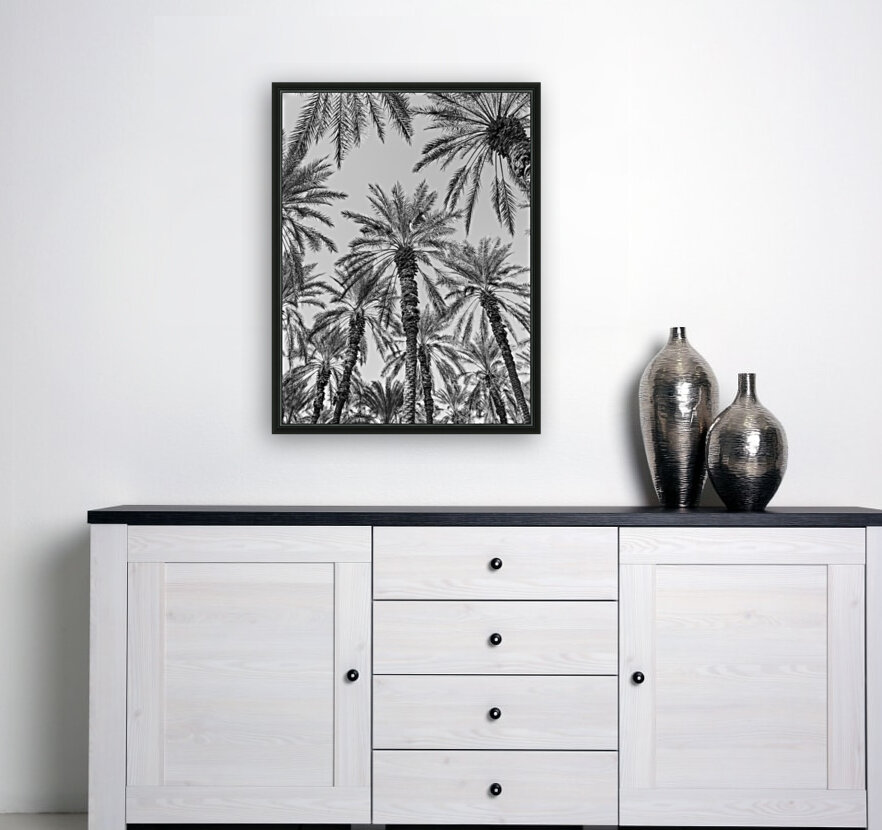 Palm Trees Reproduction