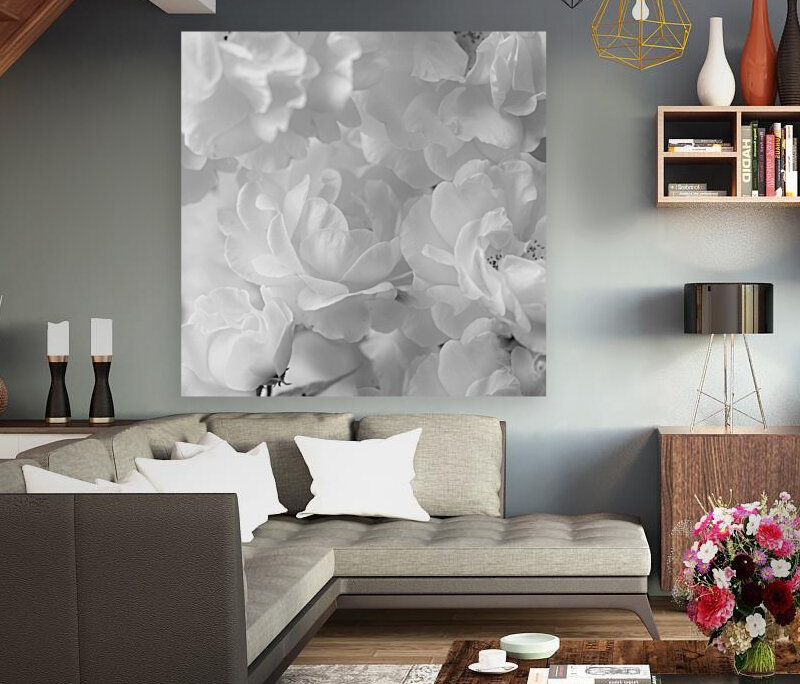 Roses Reproduction