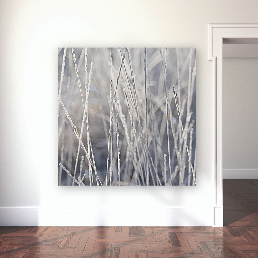 Frost on Grass Reproduction