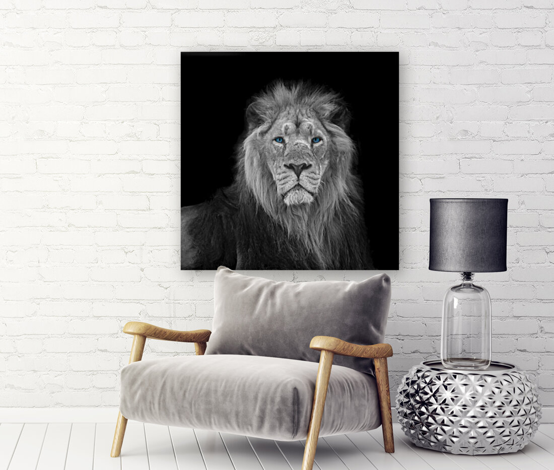 Lion face Reproduction