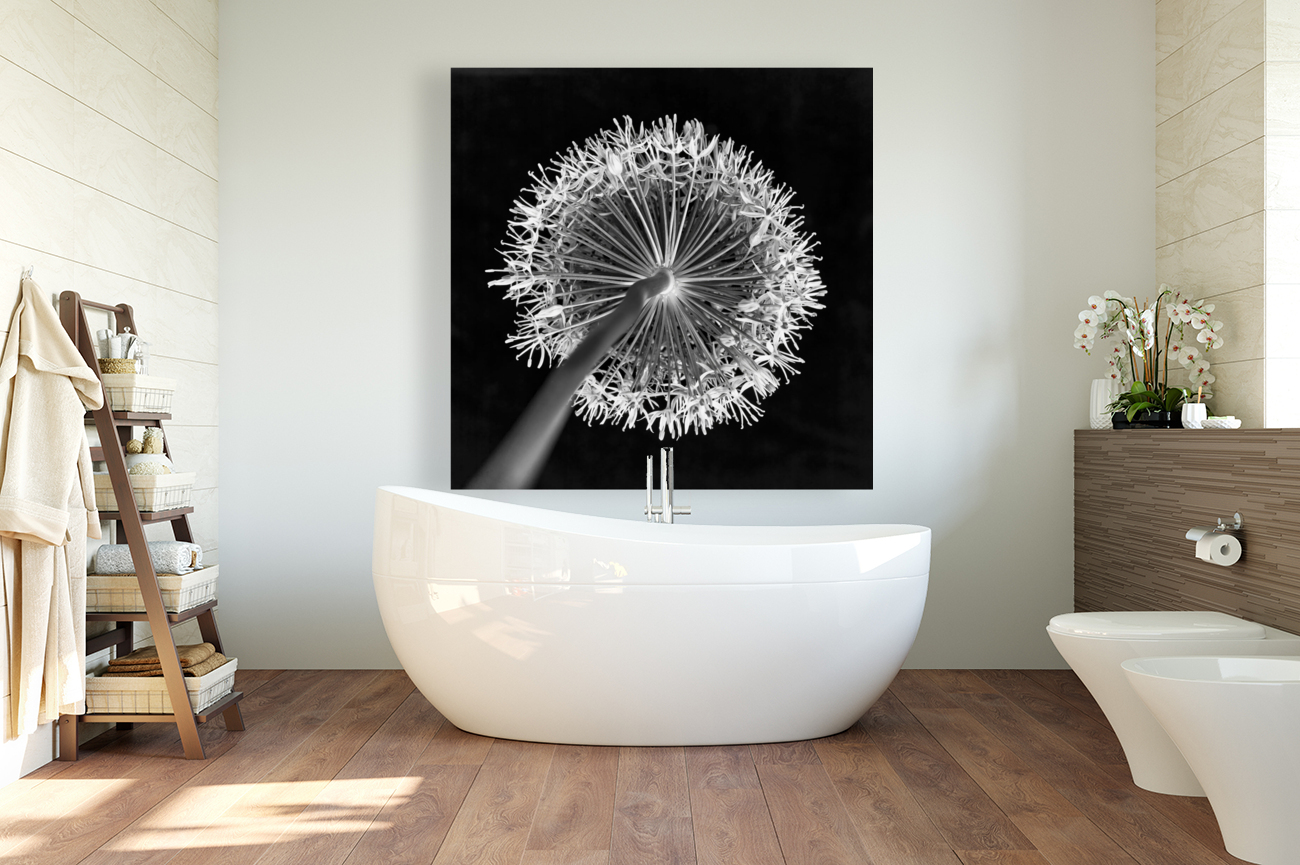 Allium flower Reproduction