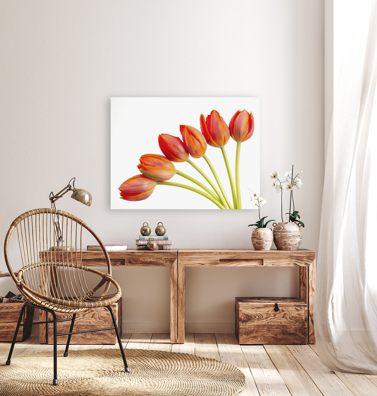 Tulip flowers Reproduction