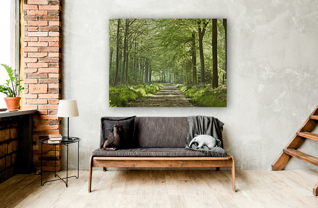 Spring Path Reproduction