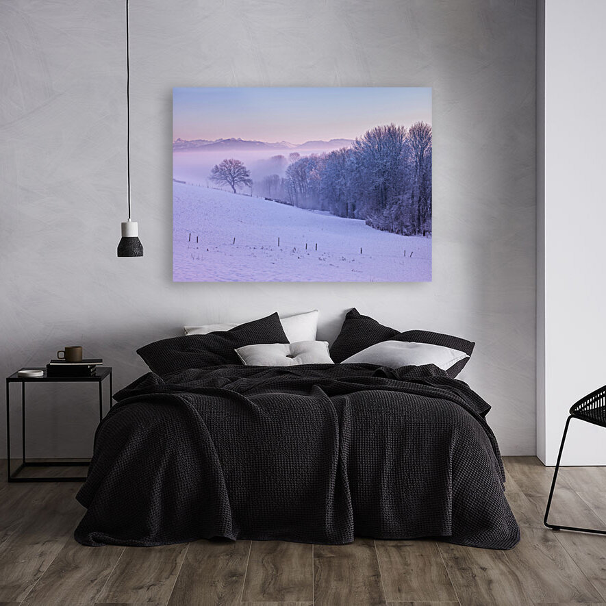 Winter Landsacpe Reproduction