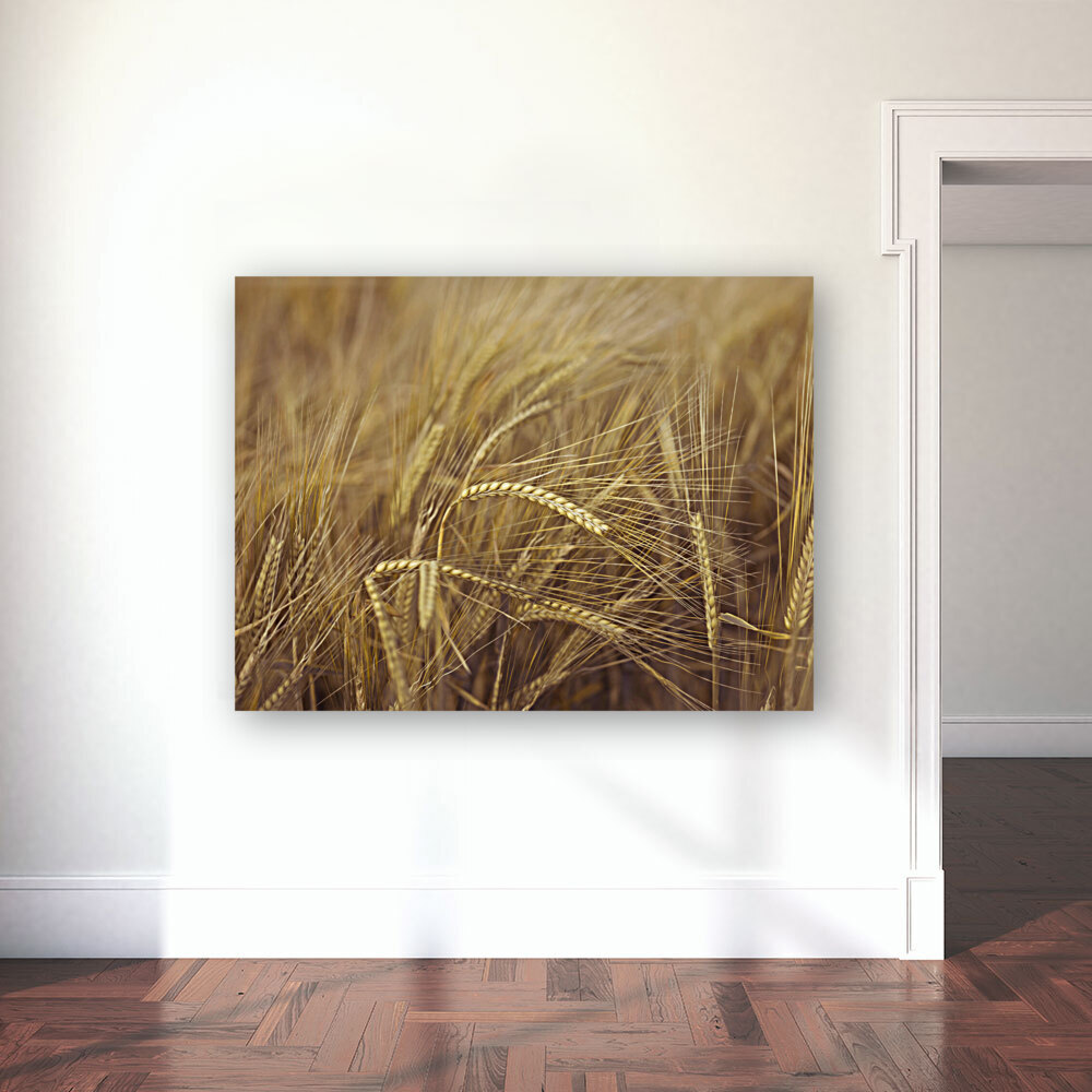 Wheat Field Reproduction