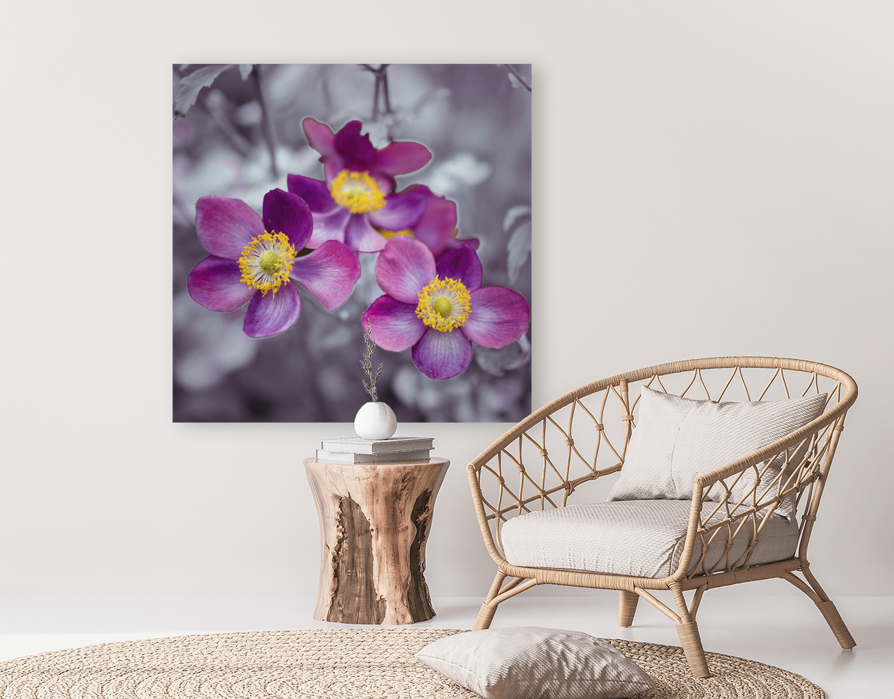 Anemone flowers Reproduction