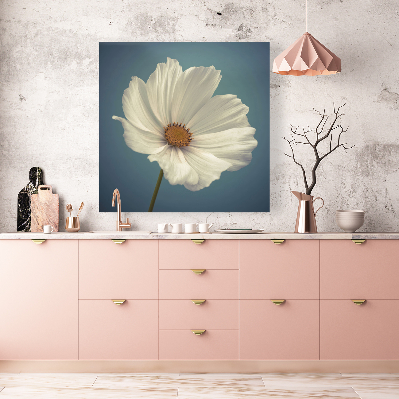 Cosmos flower Reproduction