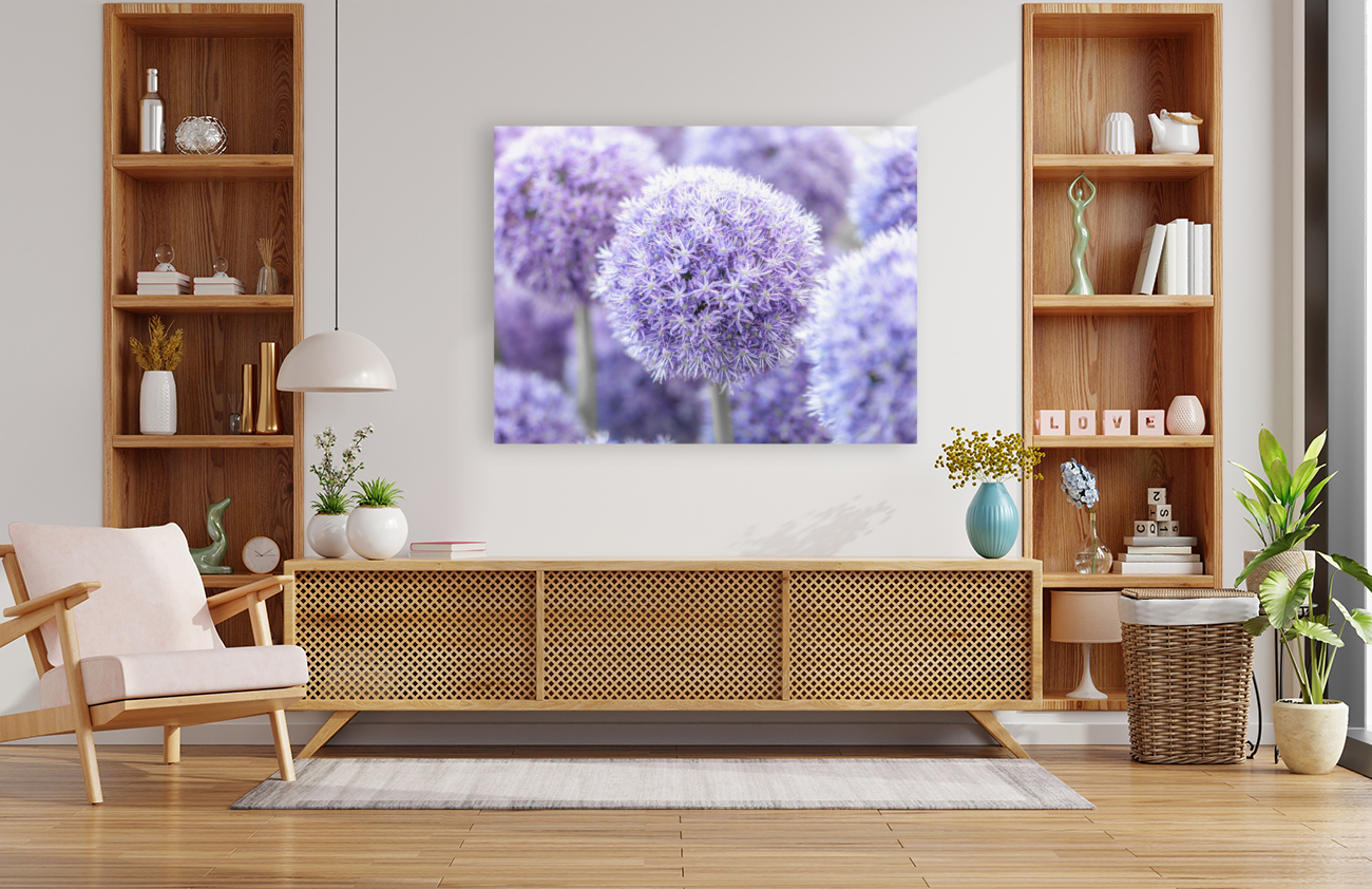 Alliums Flowers Reproduction