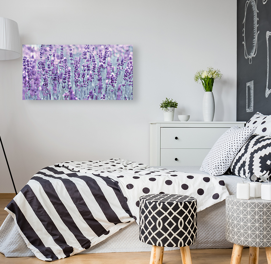 Lavender Reproduction