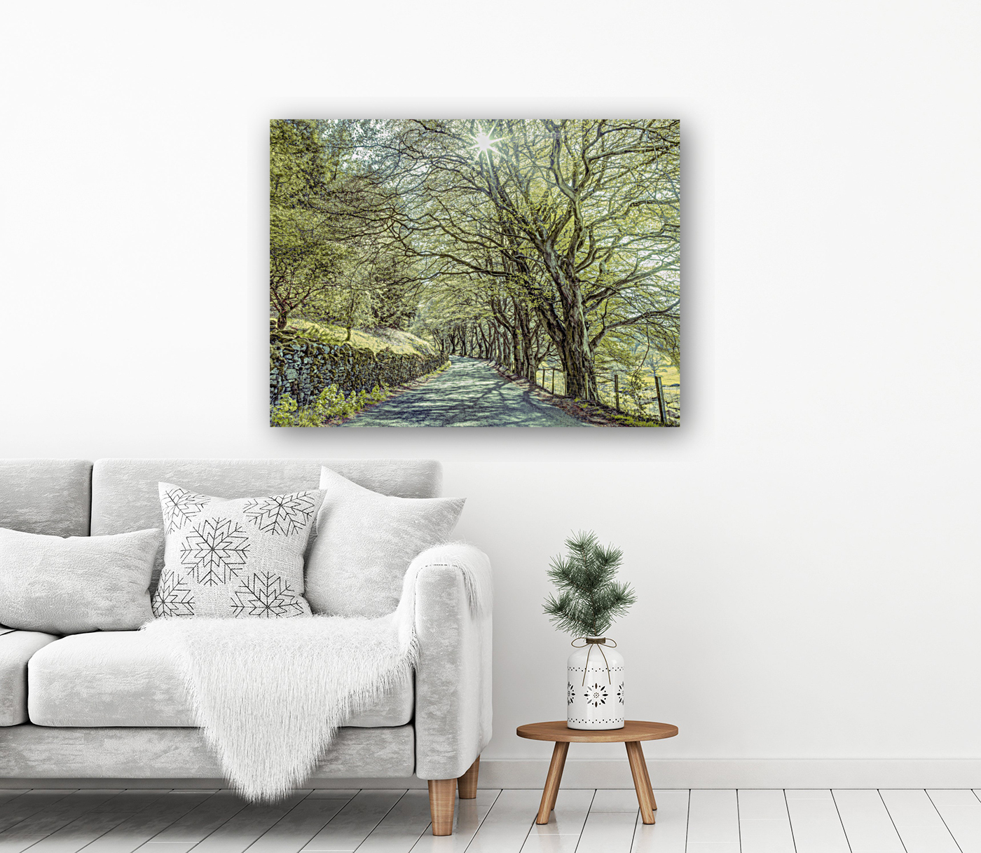 Road Through Trees Reproduction