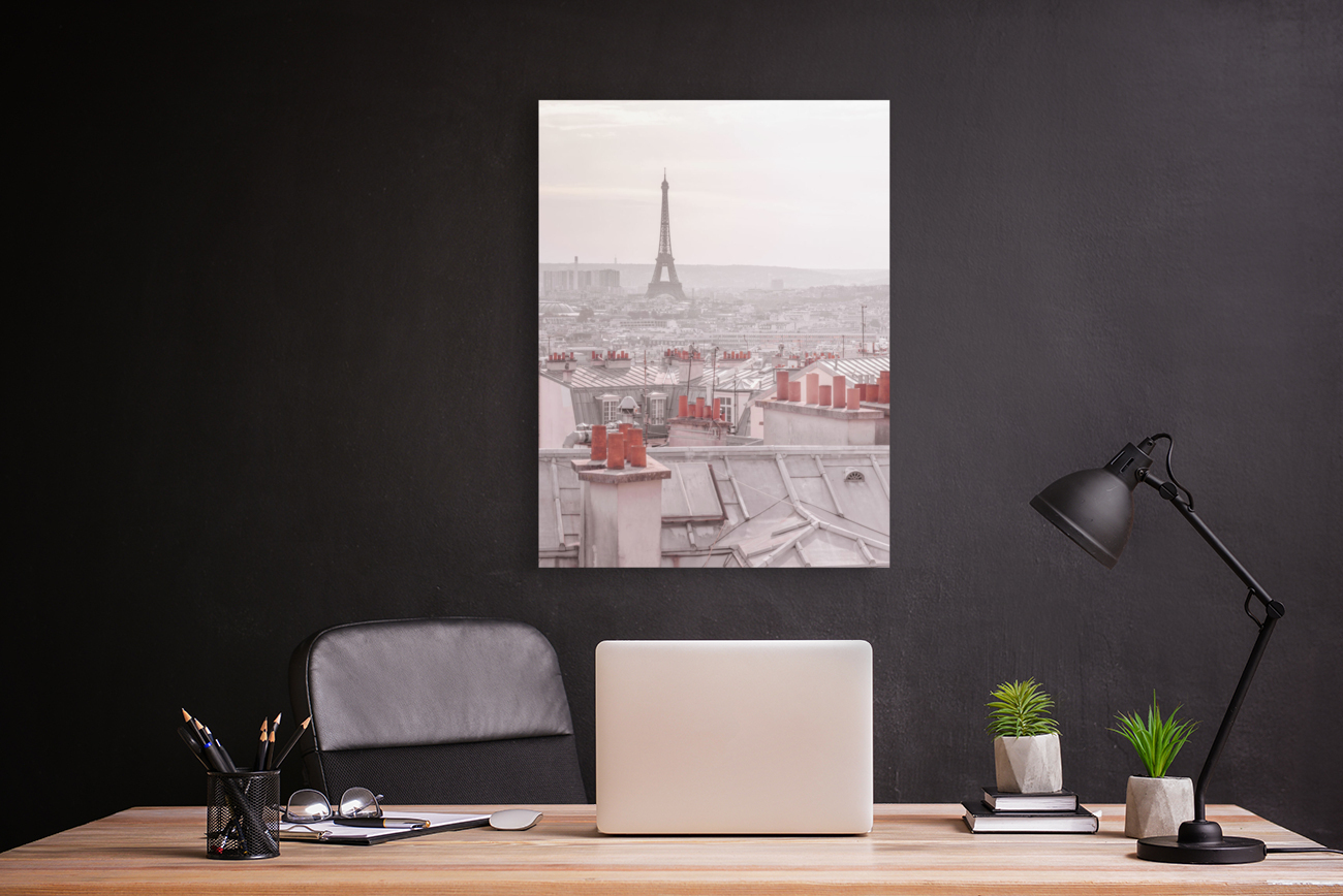 Paris Rooftops Reproduction