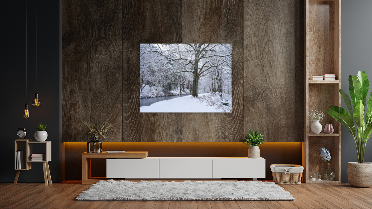 Snowy Forest Canal Reproduction