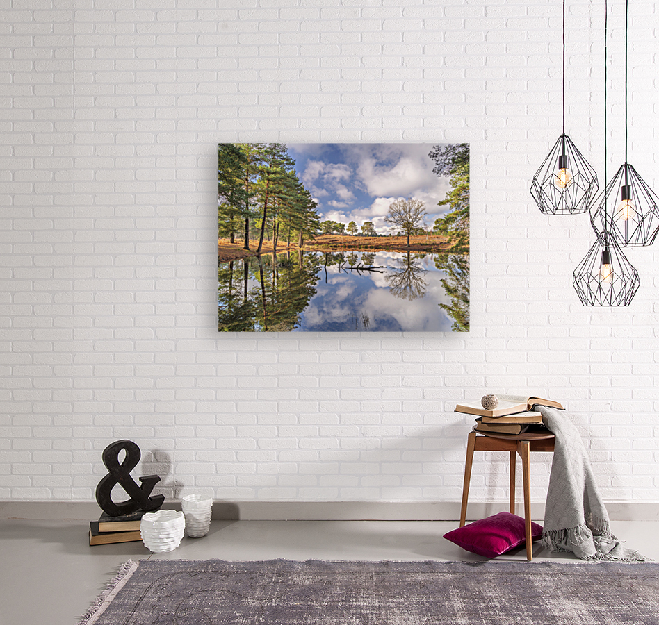 Forest Reflections Reproduction