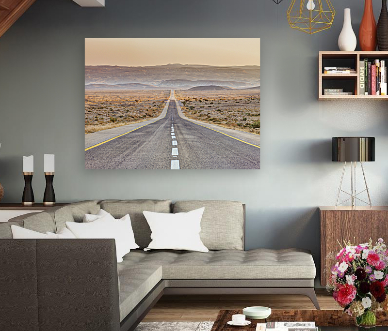 Highway through desert Reproduction