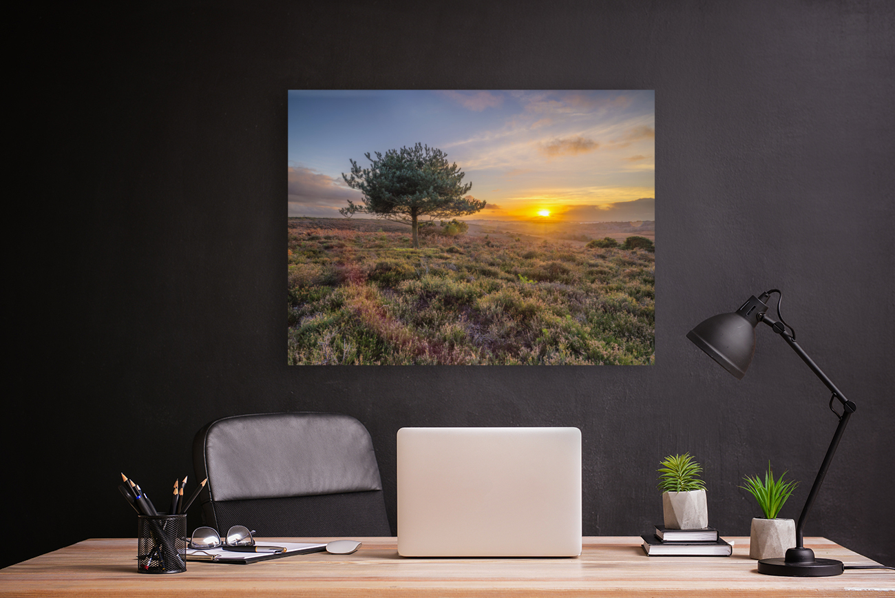 Lone tree sunset Reproduction